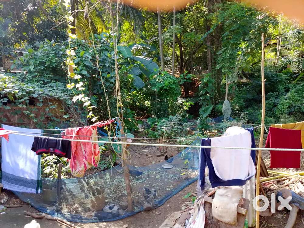 Land for sale in Guwahati