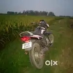Model 2015   tvs