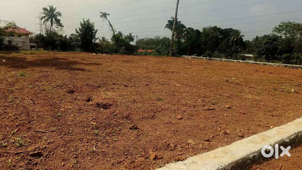 കാണക്കാരിൽ പ്ലോട്ട് വില്പനക്ക്