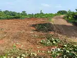 10 cent house plot for sale