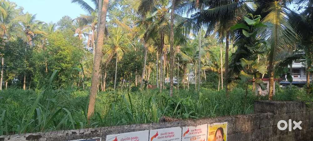 1.20 acres of plot for rent near Vizhnjam Uchakada