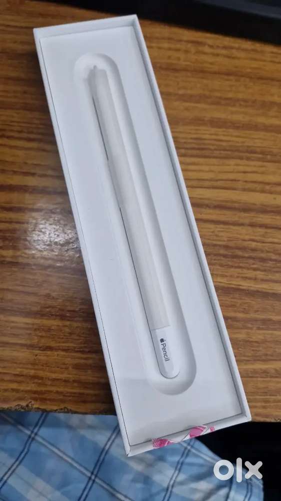 Apple Pencil (USB-C) 
Stylus