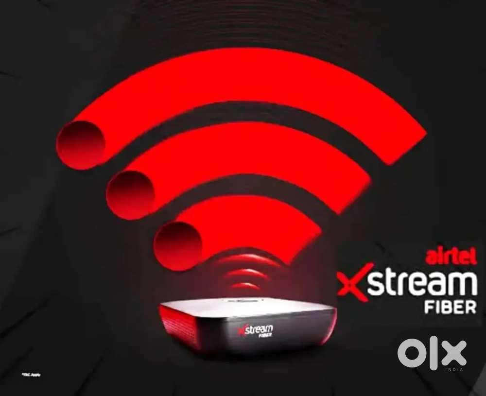 Customer service EXECUTIVE