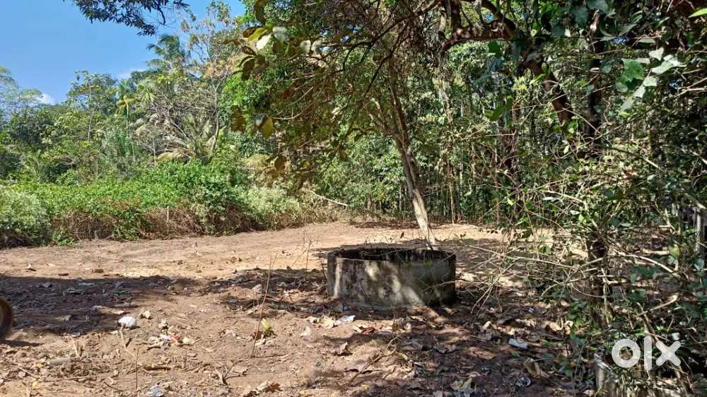 sale  for 16 cent plot