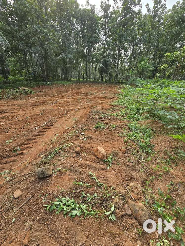 13 cent plot ayarkunnam