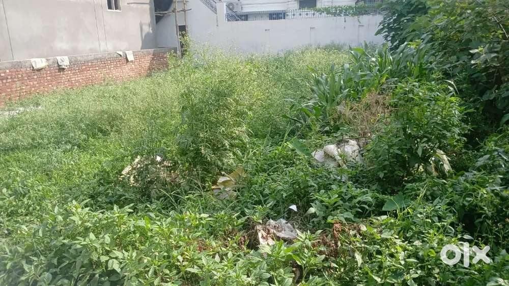 Shatabdi enclave jogiwala