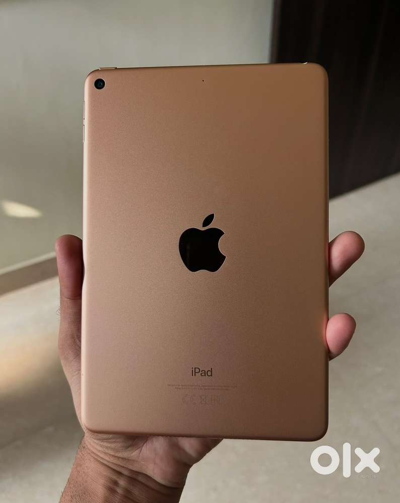iPad Mini 5 256GB Excellent Condition