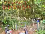 1.76 Acre Rubber plantation/Estate for sale