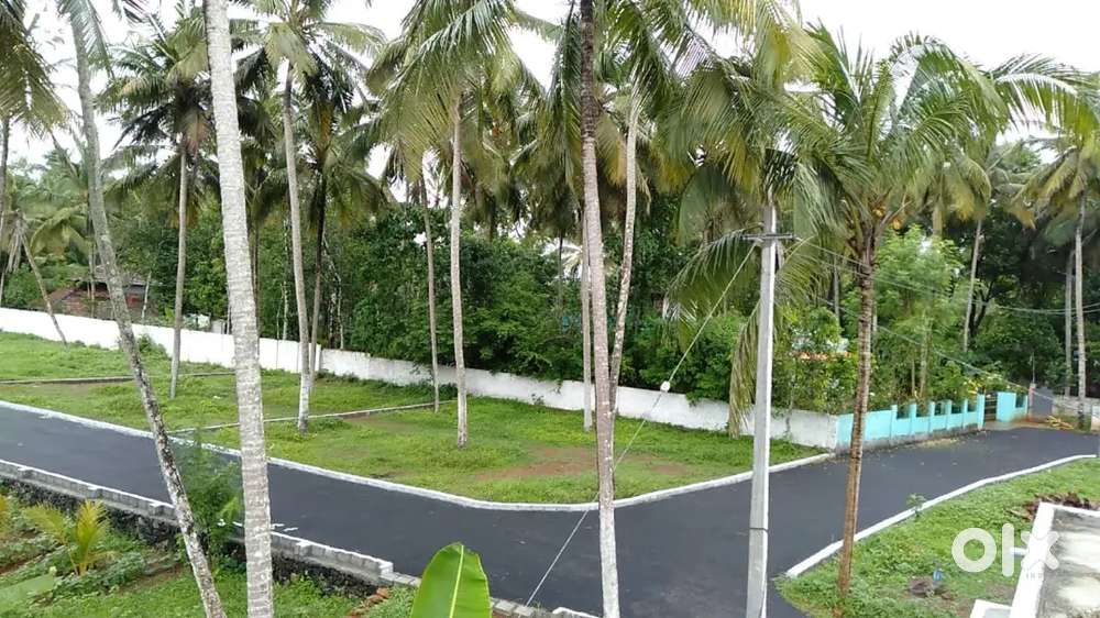 House Plot 5,8,10,15 cent for sale