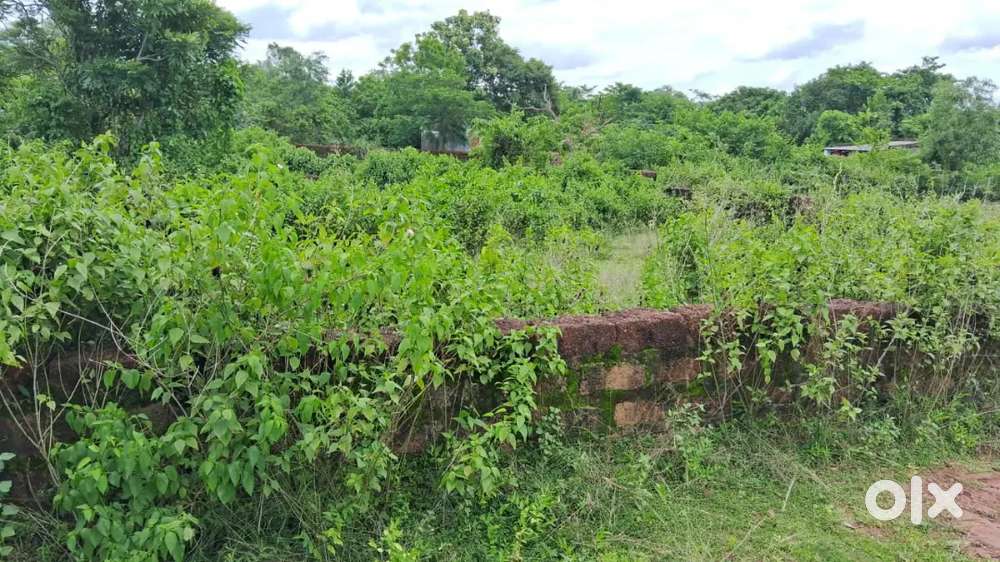 Plot sale chandaka Bhubaneswar