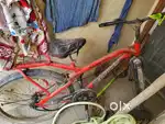 Brute cycle