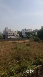Newly constructed house for lease