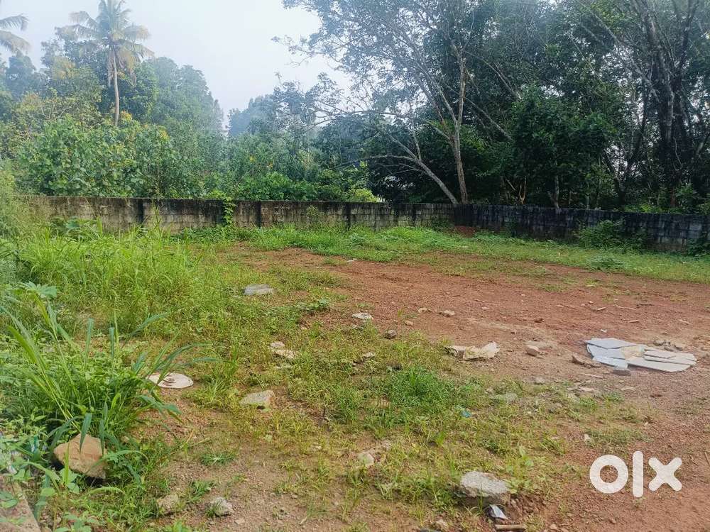 3 cent villa plot for sale near thevakkal and infopark