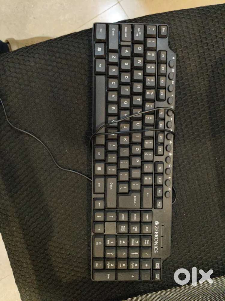 Zebronics classic typing keyboadrd and mouse