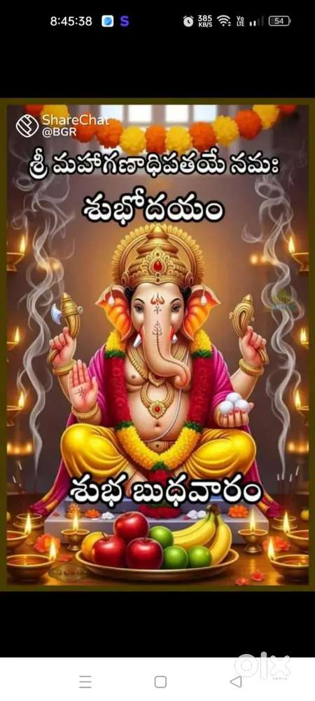 I am looking for driving job