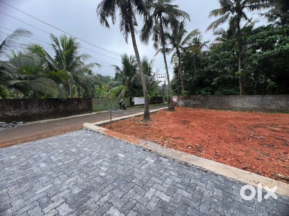 നെടുമ്പാശ്ശേരി parambayam 4,5,10cent house plot cent 6.50lakh