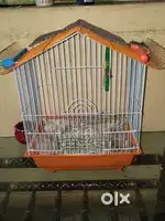 Birds cage