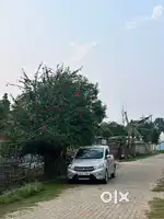 Maruti Suzuki Celerio 2015 Petrol 40000 Km Driven