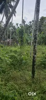 15 cent land to sale