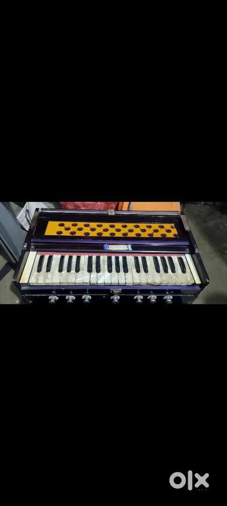 Harmonium a musical instruments