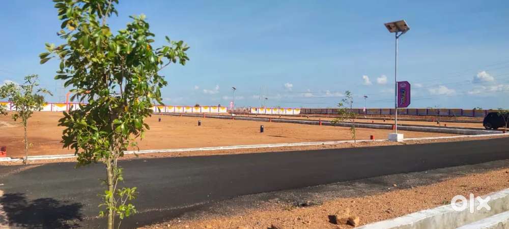 #DIWALI OFFER panjapur near low budget plots for sale
