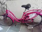 Bsa lady bird