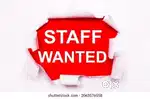 Cleaning service, washing staff for restaurant
