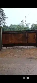 Miyadi patta