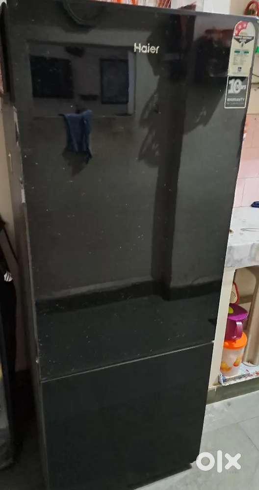Haier Bottom Mounted Refrigerator