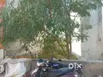 Plot in naveen palace