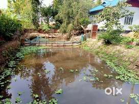 Bishnupur ward no. 1 da yum yaoba ingkhol ama yonjari
