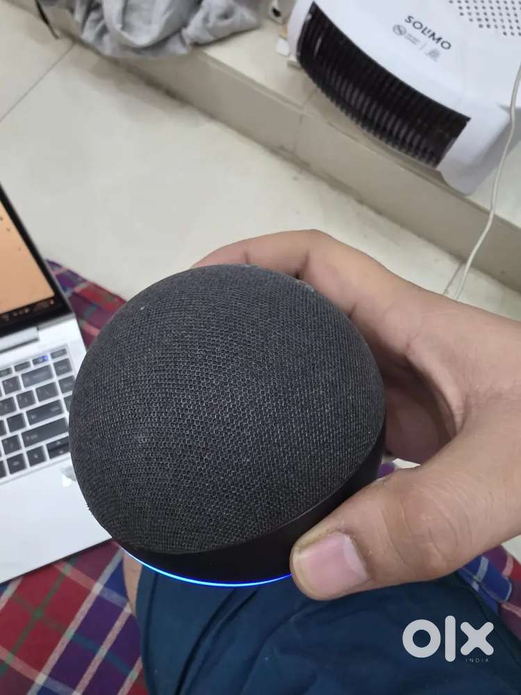 Alex 4th Generation With Bulb