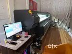Need of office helper