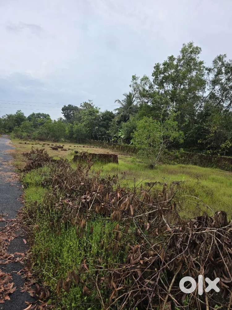 Residential  plot for sale at ambalthara moonamile