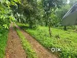 20 CENT HOUSE PLOT FOR SALE@ PAYAMPALLY TOWN,WAYANAD
