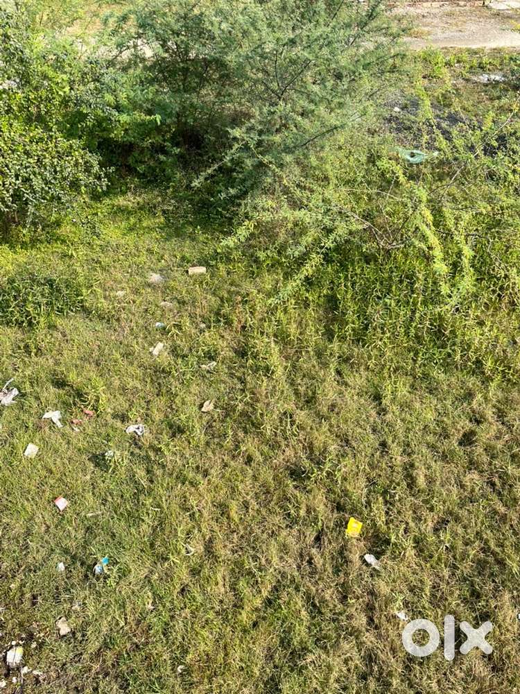 Near road 15 rs square feet ,negotiable