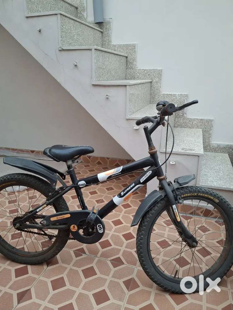 BMX Supreme, 3 year old