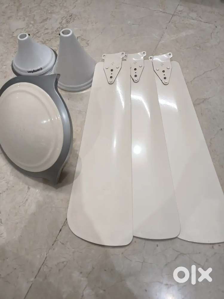 Fan in good condition ( Crompton)