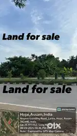 2 bigha 40 losa. maydi patta mati location near dalmia Pipalpukhuri