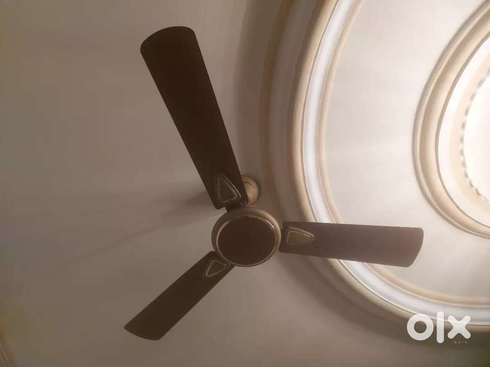 Havells fan for sale