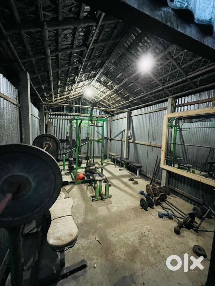 Small maltygym