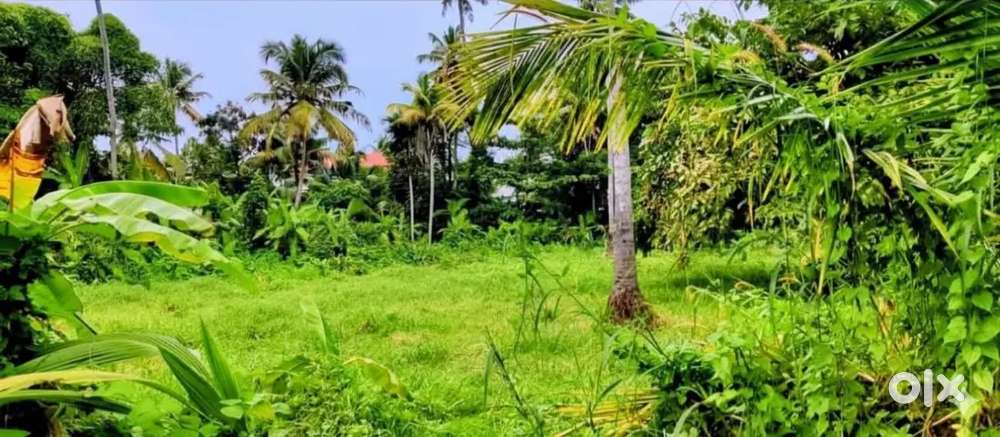 Beautiful lake view Land