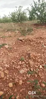 வடக்கு பார்த்த மனை
