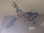 Allwyn Fatty Bikes 3.0