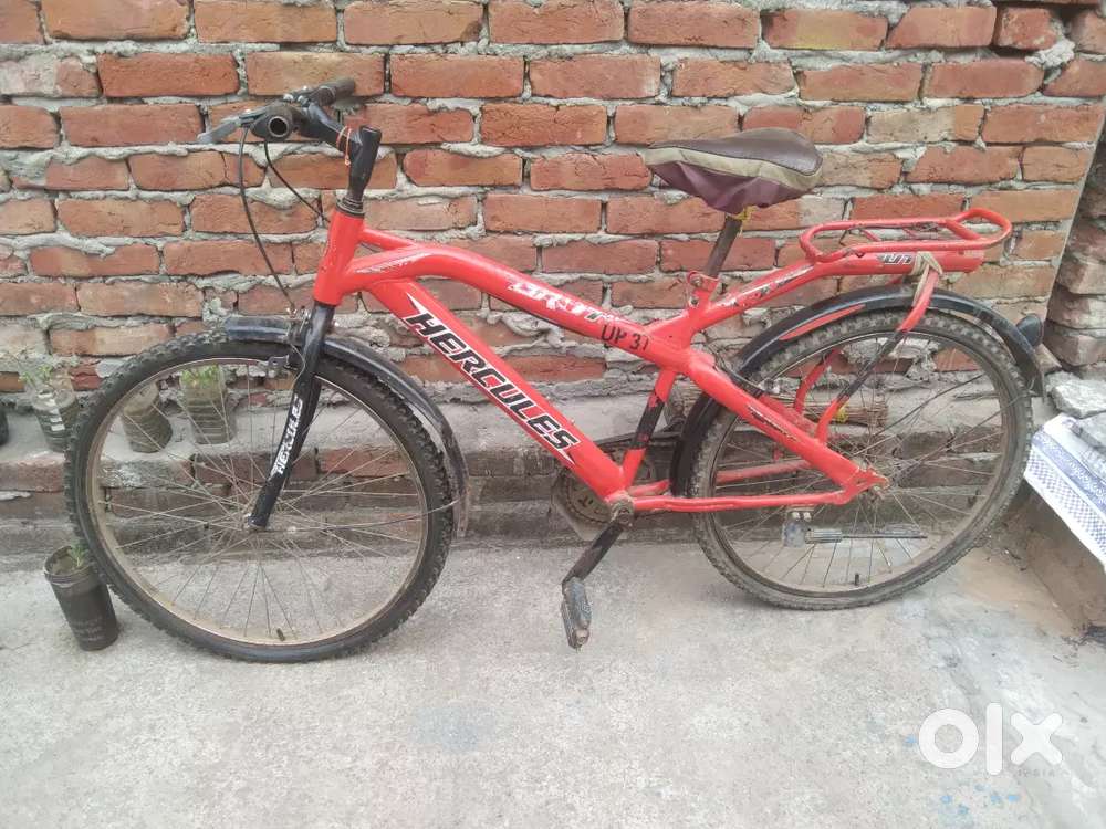 Red color cycle