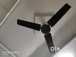 Orient ceiling fan