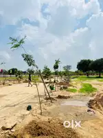 110 Guz ka plot Sirsi road Mundiyaramsar main JDA Approved!!