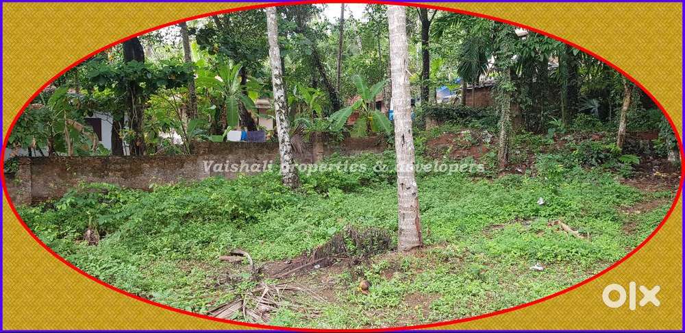 12 cents Residential Plot for sale in near Kannadikkal