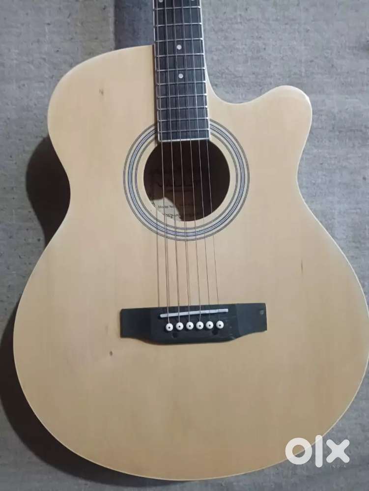 Acoustic guitar