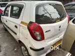 COMMERCIAL OLA 2019 ALTO 800 MODEL